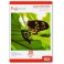 20 HOJAS GLOSSY